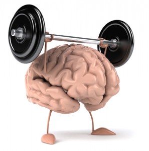 muscle_brain